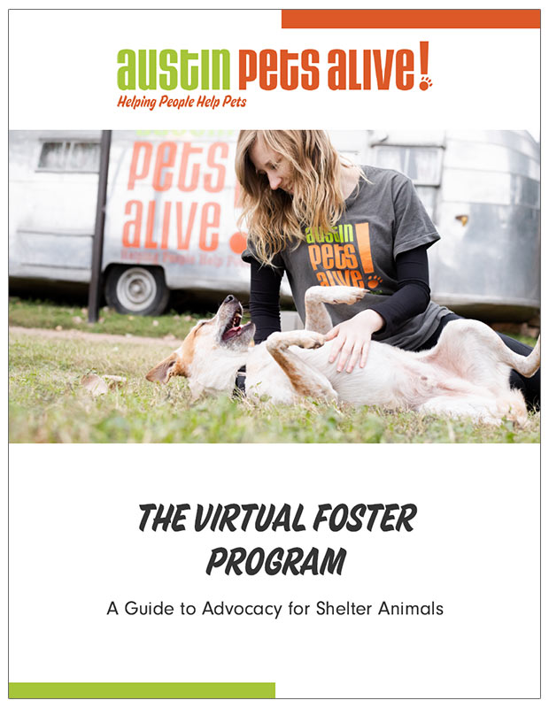 cover of APA! Virtual Foster handbook