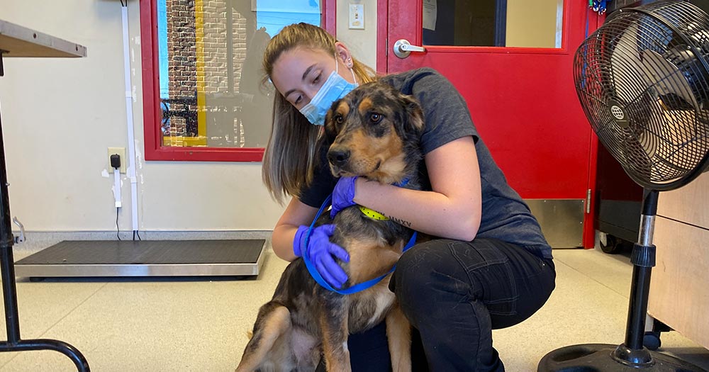 Dog getting hug at adoption center